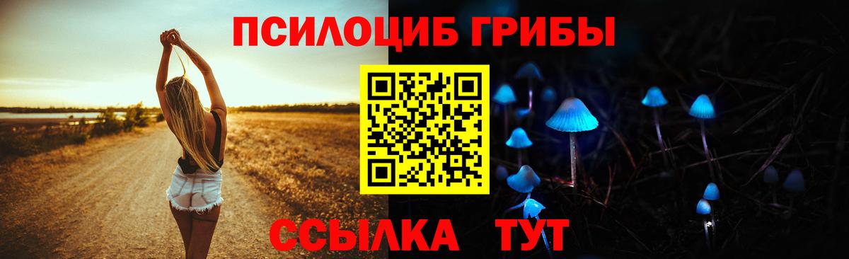 Псилоцибиновые грибы Magic Shrooms  Псилоцибиновые грибы Magic Shrooms  Похвистнево  Вход с VPN 